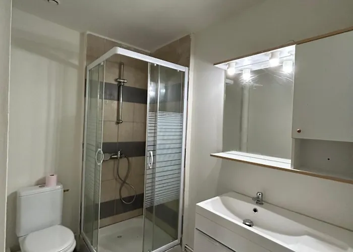 Apartament Grand Lumineux Extra Centre